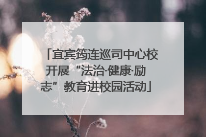 宜宾筠连巡司中心校开展“法治·健康·励志”教育进校园活动