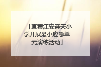 宜宾江安连天小学开展最小应急单元演练活动