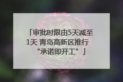 审批时限由5天减至1天 青岛高新区推行“承诺即开工”