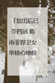 复出后已夺四冠 陈雨菲捍卫女单核心地位