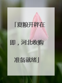 夏粮开秤在即，河北收购准备就绪