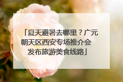 夏天避暑去哪里？广元朝天区西安专场推介会 发布旅游美食线路