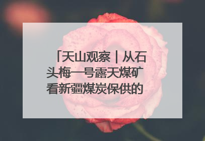 天山观察｜从石头梅一号露天煤矿看新疆煤炭保供的量与“智”