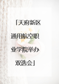 天府新区通用航空职业学院举办双选会