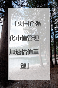央国企强化市值管理加速估值重塑