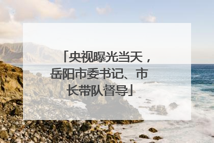 央视曝光当天，岳阳市委书记、市长带队督导