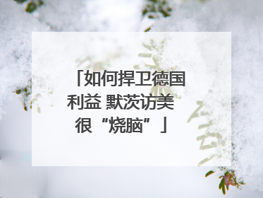 如何捍卫德国利益 默茨访美很“烧脑”