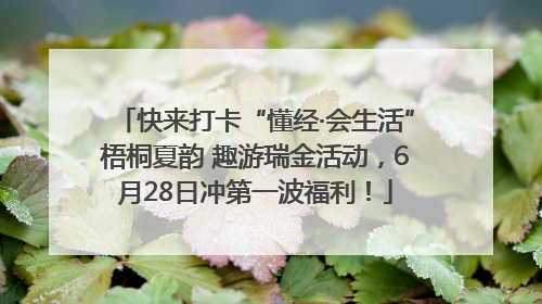 快来打卡“懂经·会生活”梧桐夏韵 趣游瑞金活动，6月28日冲第一波福利！