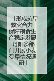 形成抗旱救灾合力 保障粮食生产稳定发展 丹阳多部门开展小麦受旱情况调研