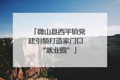微山县西平镇党建引领打造家门口“就业圈”