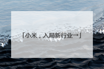 小米，入局新行业→