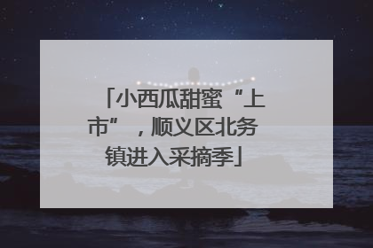 小西瓜甜蜜“上市”，顺义区北务镇进入采摘季