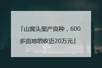山窝头里产良种，600多亩地增收近20万元