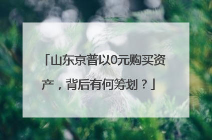 山东京普以0元购买资产，背后有何筹划？