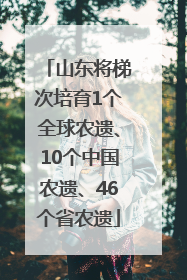 山东将梯次培育1个全球农遗、10个中国农遗、46个省农遗