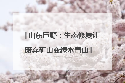 山东巨野：生态修复让废弃矿山变绿水青山