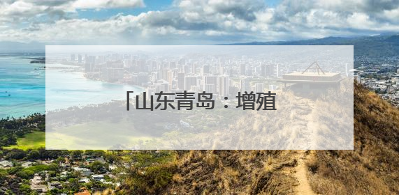 山东青岛：增殖放流 修复生态