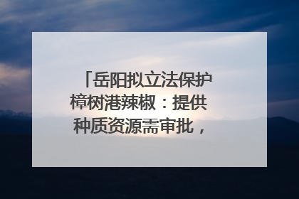 岳阳拟立法保护樟树港辣椒：提供种质资源需审批，违规最高罚5万
