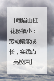 峨眉山桂花桥镇小：劳动赋能成长，实践点亮校园