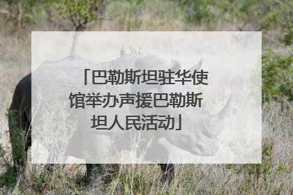 巴勒斯坦驻华使馆举办声援巴勒斯坦人民活动