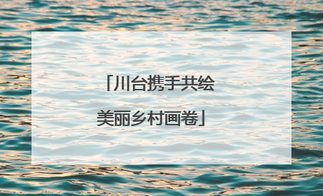 川台携手共绘美丽乡村画卷