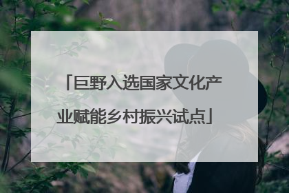巨野入选国家文化产业赋能乡村振兴试点