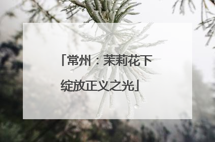 常州：茉莉花下绽放正义之光