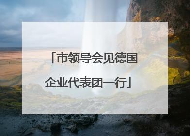 市领导会见德国企业代表团一行