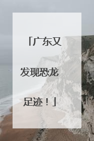 广东又发现恐龙足迹！