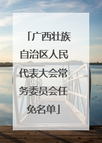 广西壮族自治区人民代表大会常务委员会任免名单