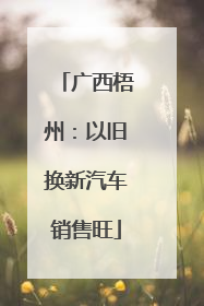 广西梧州：以旧换新汽车销售旺