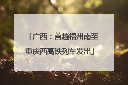 广西：首趟梧州南至重庆西高铁列车发出