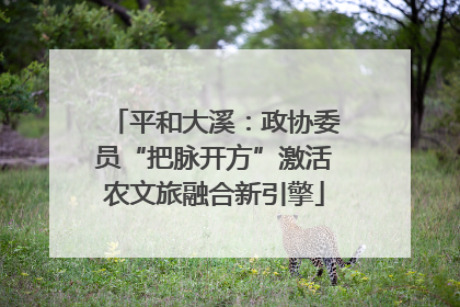 平和大溪：政协委员“把脉开方”激活农文旅融合新引擎