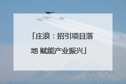 庄浪：招引项目落地 赋能产业振兴