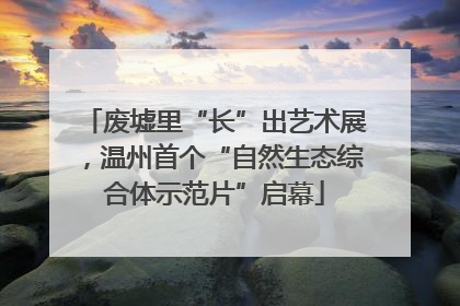 废墟里“长”出艺术展，温州首个“自然生态综合体示范片”启幕