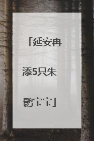 延安再添5只朱鹮宝宝
