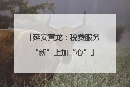 延安黄龙：税费服务“新”上加“心”