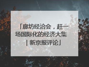 廊坊经洽会，赶一场国际化的经济大集｜新京报评论