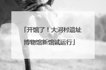 开馆了！大河村遗址博物馆新馆试运行