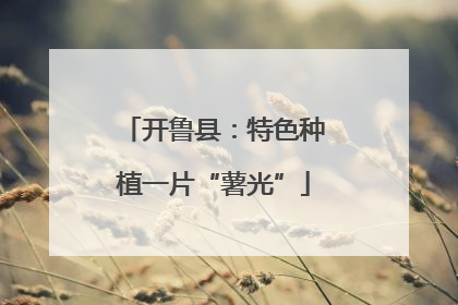开鲁县：特色种植一片“薯光”