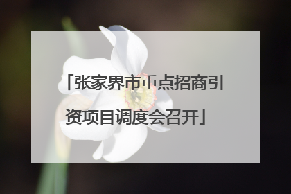 张家界市重点招商引资项目调度会召开