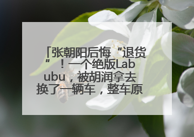 张朝阳后悔“退货”！一个绝版Labubu，被胡润拿去换了一辆车，整车原价值上百万元