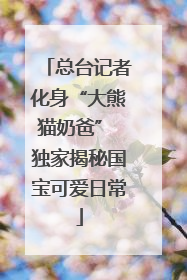 总台记者化身“大熊猫奶爸” 独家揭秘国宝可爱日常