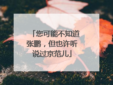 您可能不知道张鹏，但也许听说过京范儿