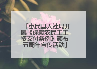 惠民县人社局开展《保障农民工工资支付条例》颁布五周年宣传活动