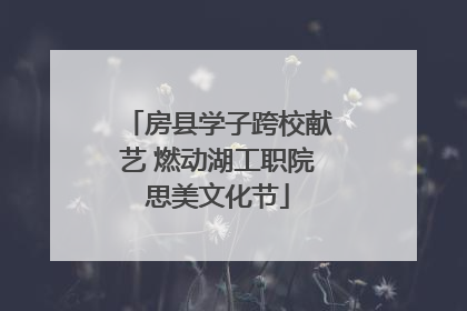 房县学子跨校献艺 燃动湖工职院思美文化节