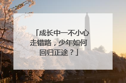 成长中一不小心走错路，少年如何回归正途？