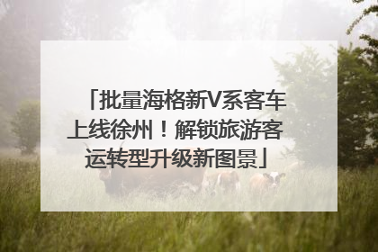 批量海格新V系客车上线徐州！解锁旅游客运转型升级新图景