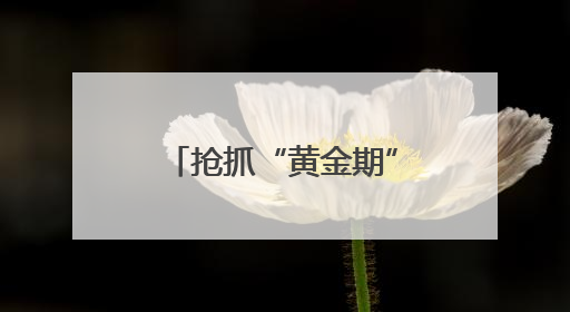 抢抓“黄金期” 德阳智慧之心项目建设加速推进