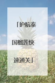 护航泰国榴莲快速通关
